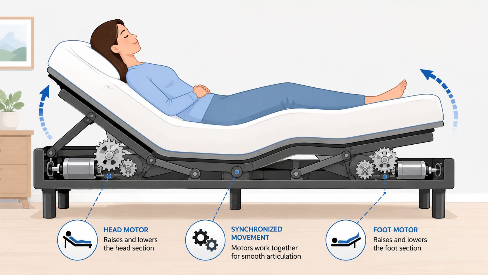 How an Adjustable Bed Frame Actually Works