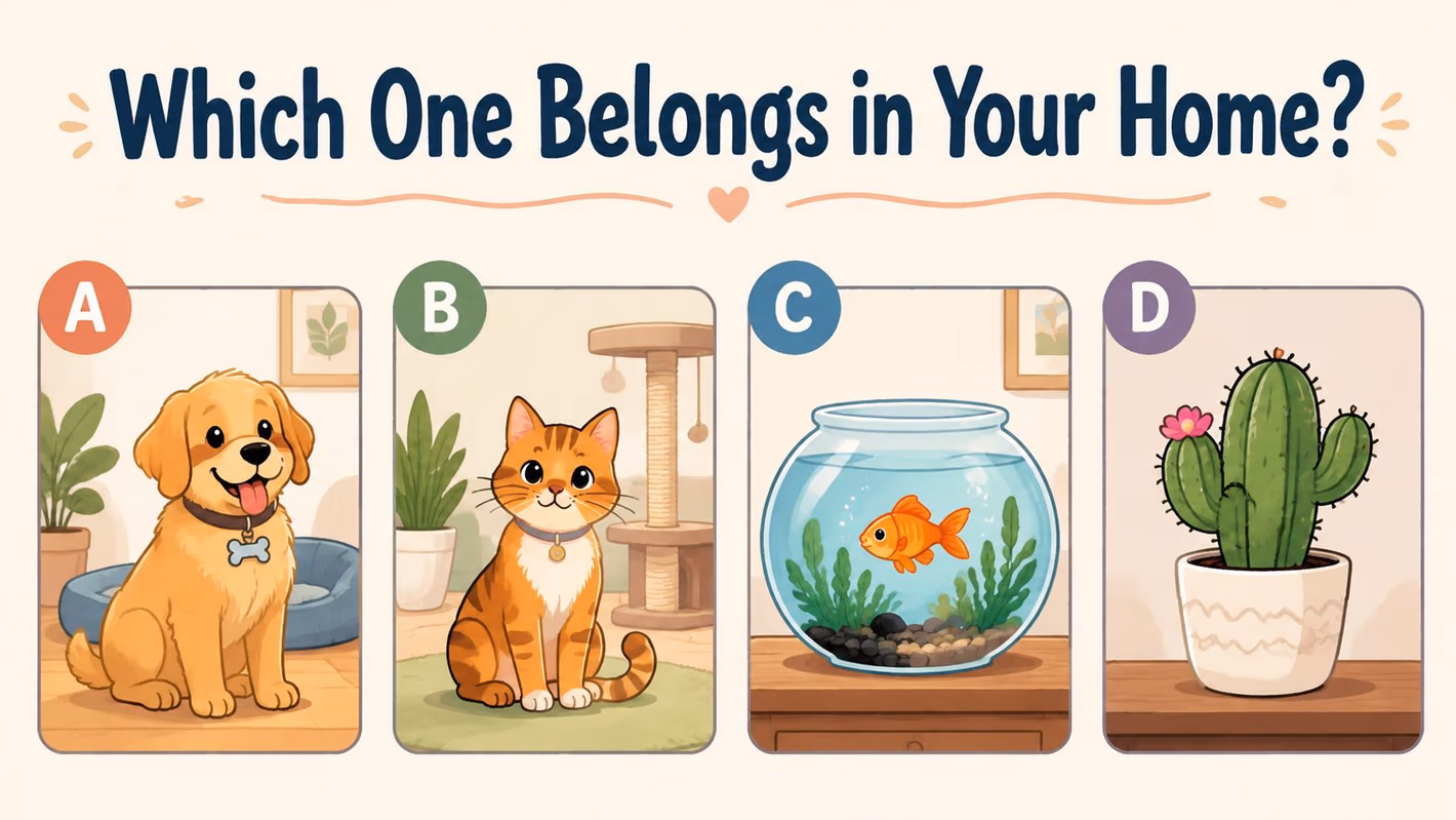 A playful graphic featuring four options for household companions: a dog, a cat, a goldfish, or a cactus.