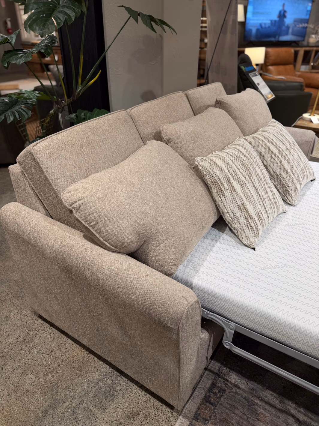 IMG_9034 Sleeper Sofa in Greige - Image 1